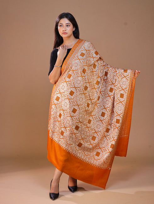 Women's Pure Wool Faux Pashmina Aari Embroidery Shawl